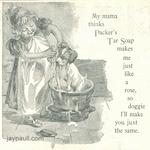 PackersTarSoap_Cosmopolitan121893wm