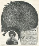 HallockFlorists&Seedsmen_TheAmericanMagazineAdvertiser031888wm
